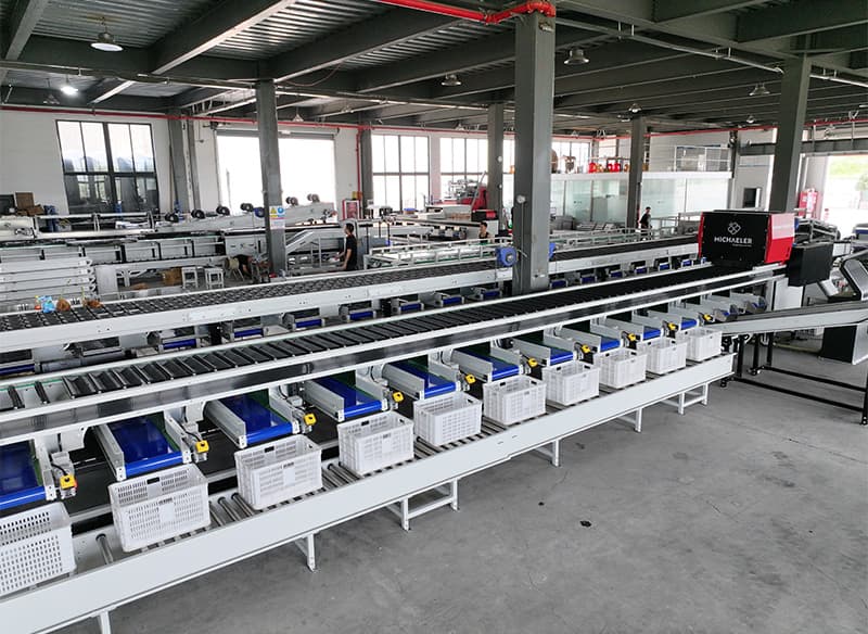sweet potato color sorting line.jpg